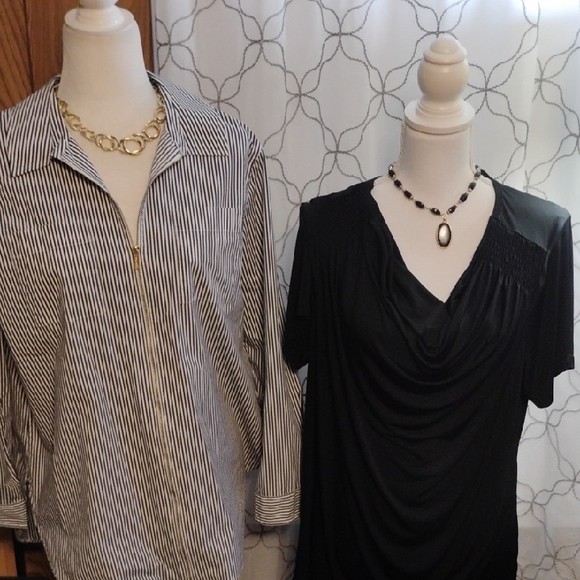 Size XL Blouse Bundle - Picture 2 of 8